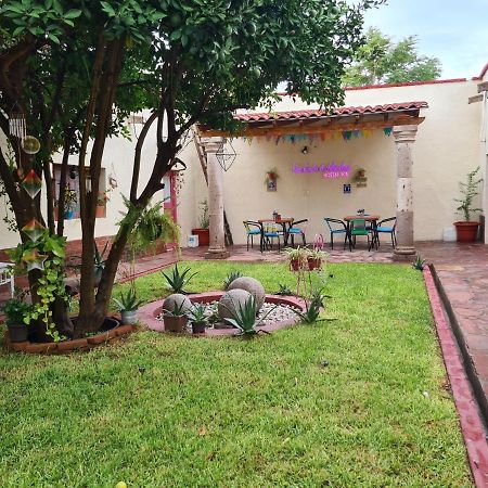 Hostal Ika Chihuahua Extérieur photo
