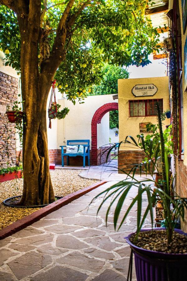 Hostal Ika Chihuahua Extérieur photo