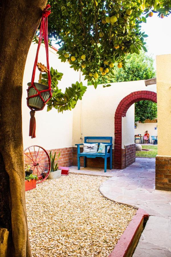 Hostal Ika Chihuahua Extérieur photo