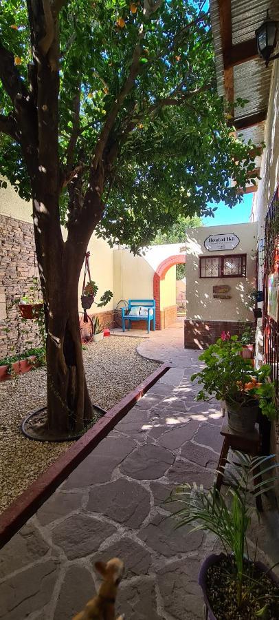 Hostal Ika Chihuahua Extérieur photo