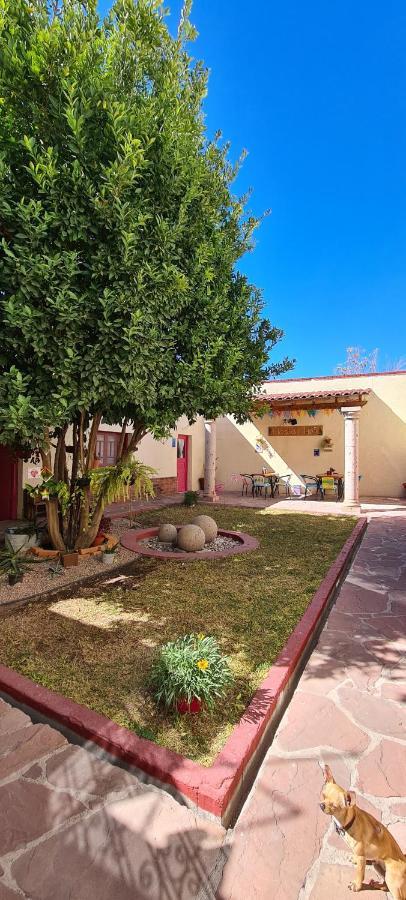 Hostal Ika Chihuahua Extérieur photo